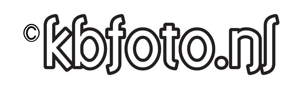 kbfoto logo